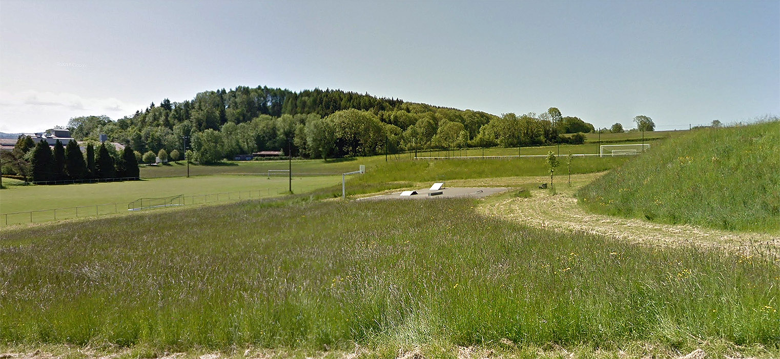 Clairvalien Skatepark Clairvaux les Lacs Skate Spot 1/5