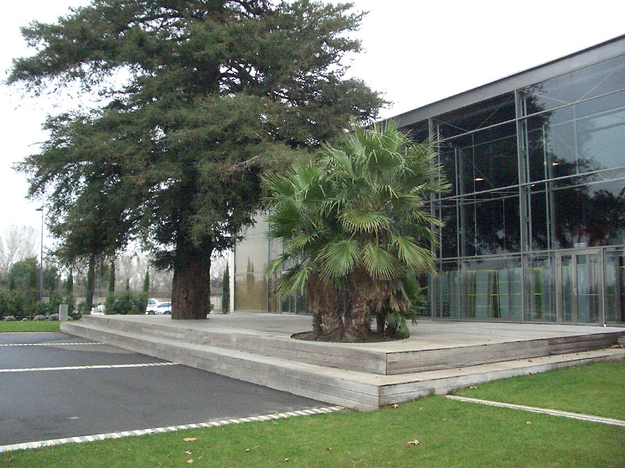 La Cigalière Spot Street Sérignan Skate Spot 3/5