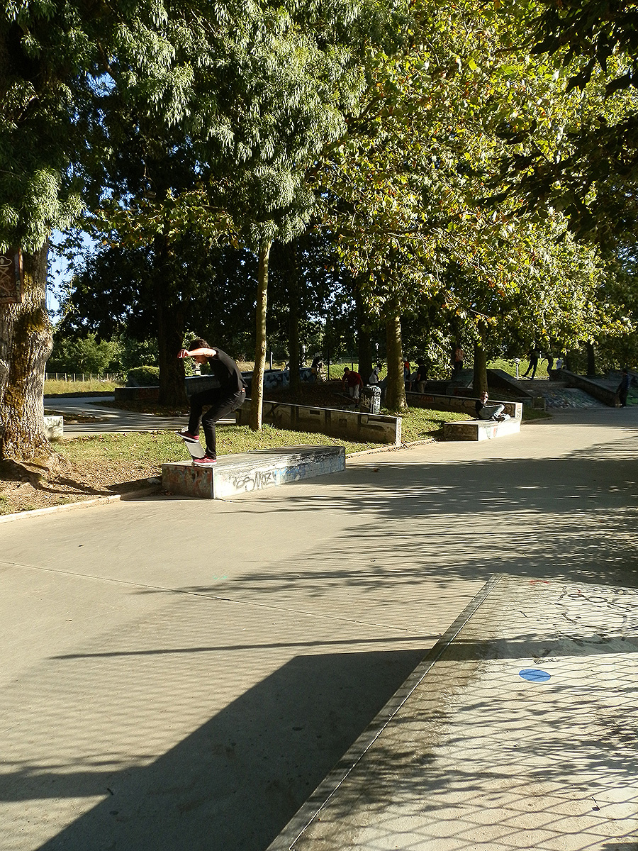 Paulmy Skatepark Bayonne Skate Spot 5/5