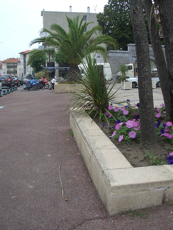 Gare du Midi Spot Street Biarritz Skate Spot 4/5