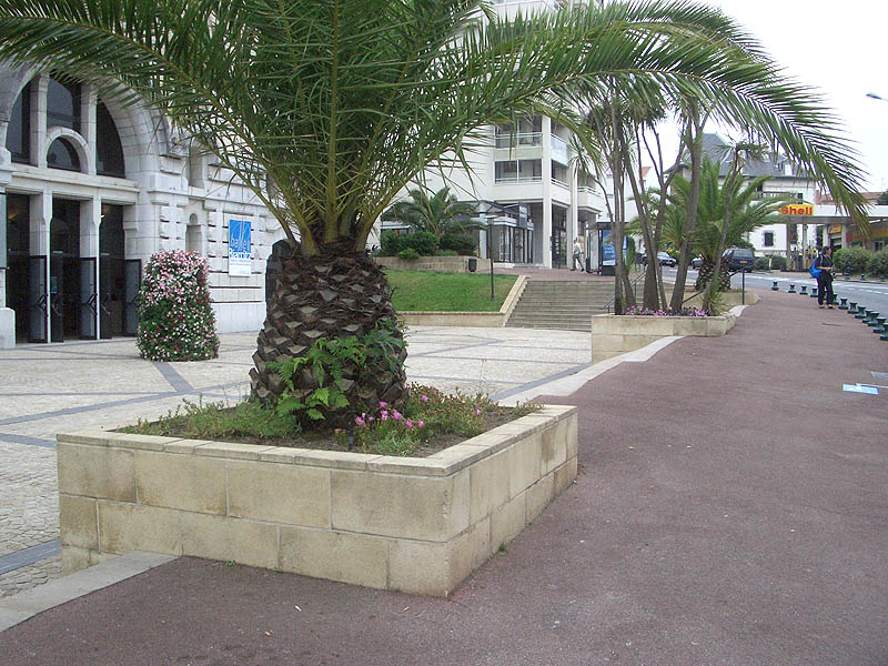 Gare du Midi Spot Street Biarritz Skate Spot 4/5